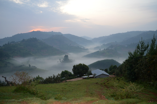 misty mountains uganda